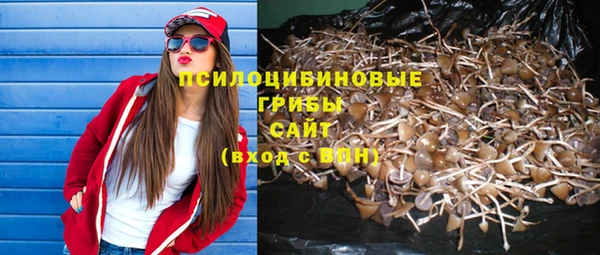экстази Зеленокумск