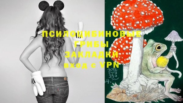 mix Зеленодольск